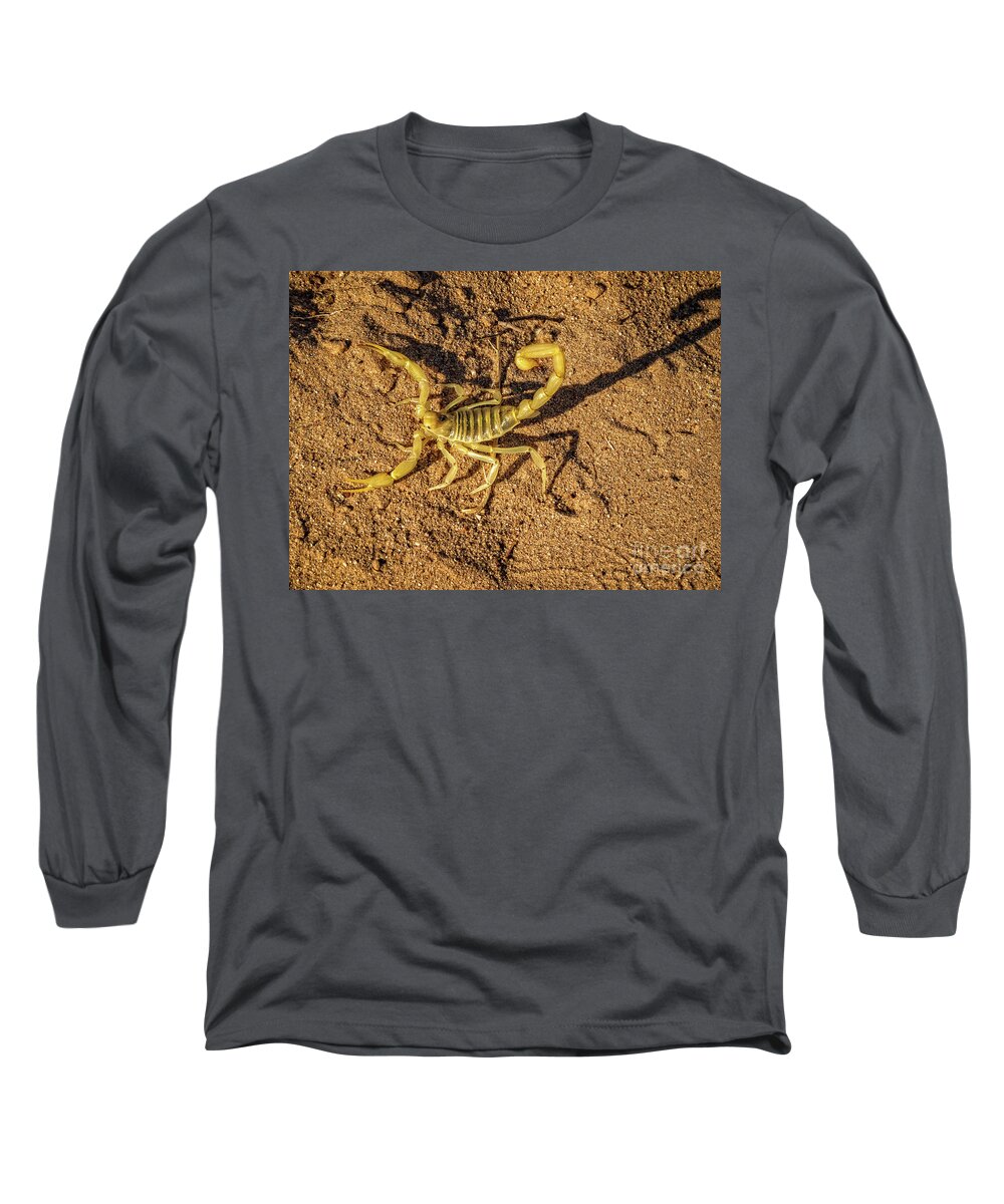Poisonous Long Sleeve T-Shirt featuring the photograph Scorpion by Robert Bales