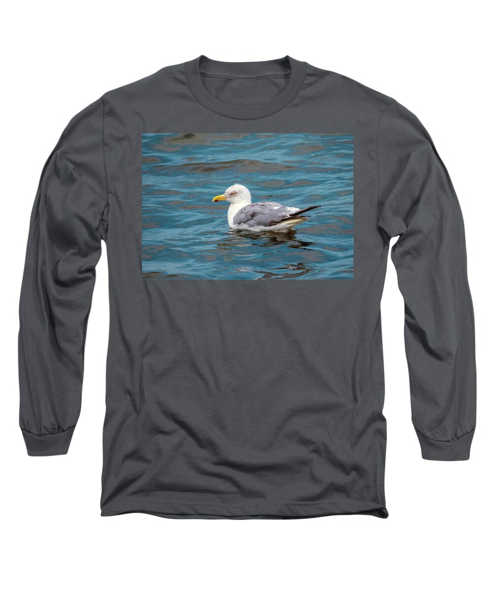 Birds Long Sleeve T-Shirt featuring the photograph Seagull by Paul Ross