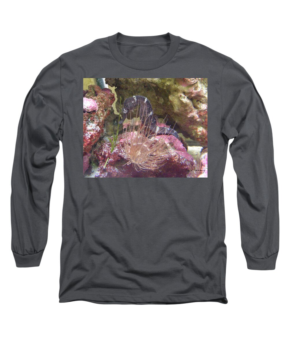 Faunagraphs Long Sleeve T-Shirt featuring the photograph Seahorse1 by Torie Tiffany