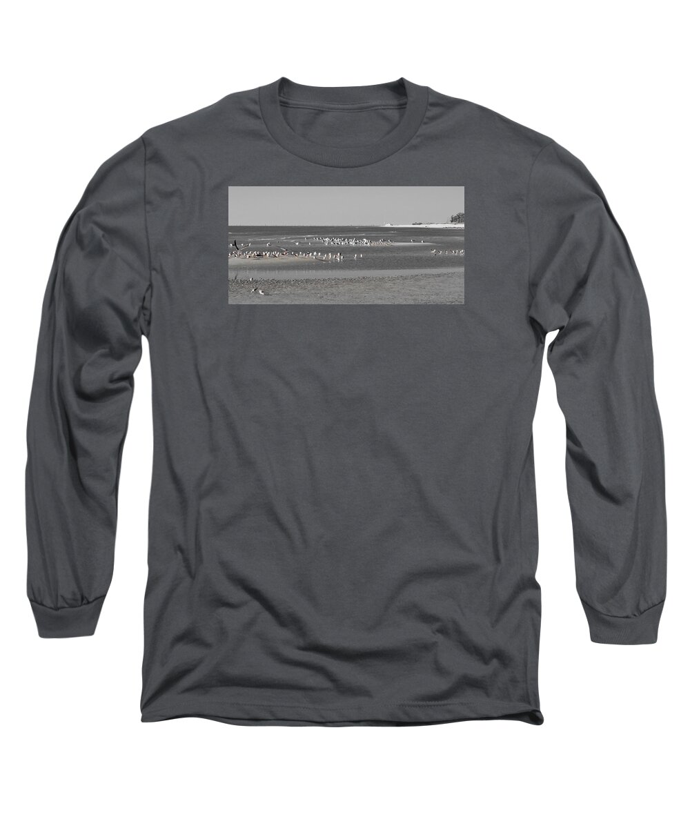 Blackskimmer Long Sleeve T-Shirt featuring the photograph Seascape Gulf Coast, MS f20a by Otri Park