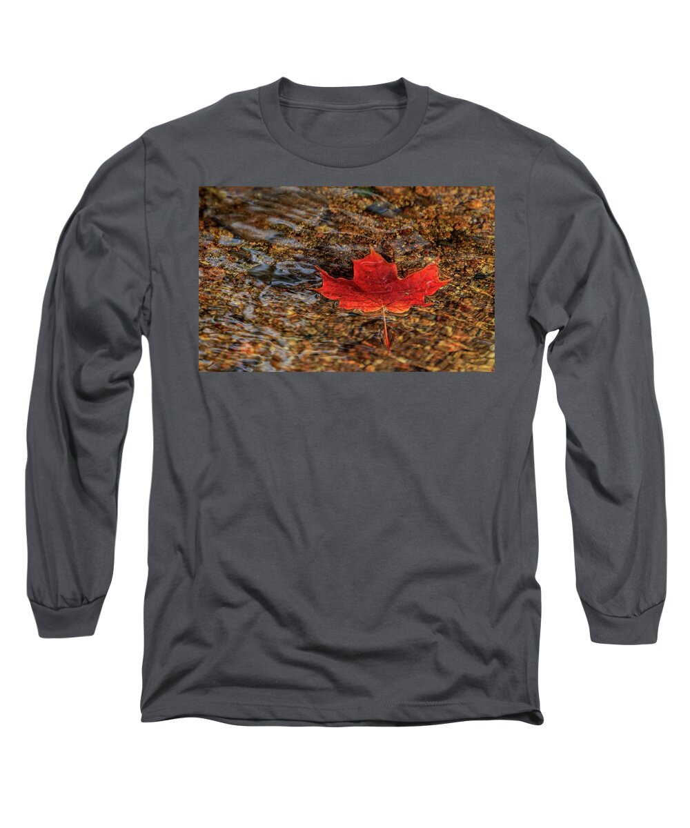 Fall Long Sleeve T-Shirt featuring the photograph Seasons by Rob Davies