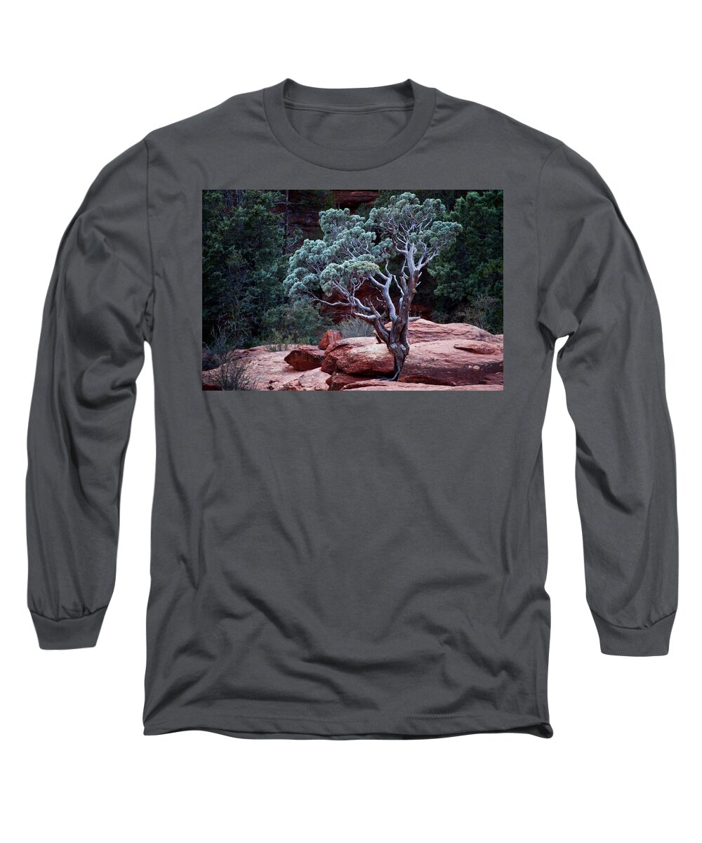 Tree Long Sleeve T-Shirt featuring the photograph Sedona Tree #3 by David Chasey