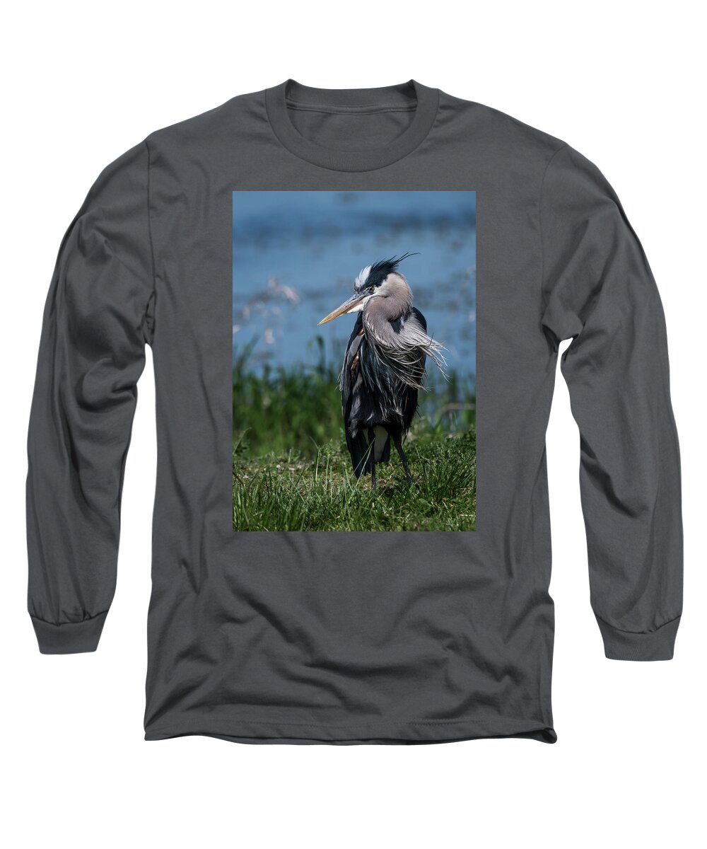 Animals Long Sleeve T-Shirt featuring the photograph Shaggy Mane by Robert Potts