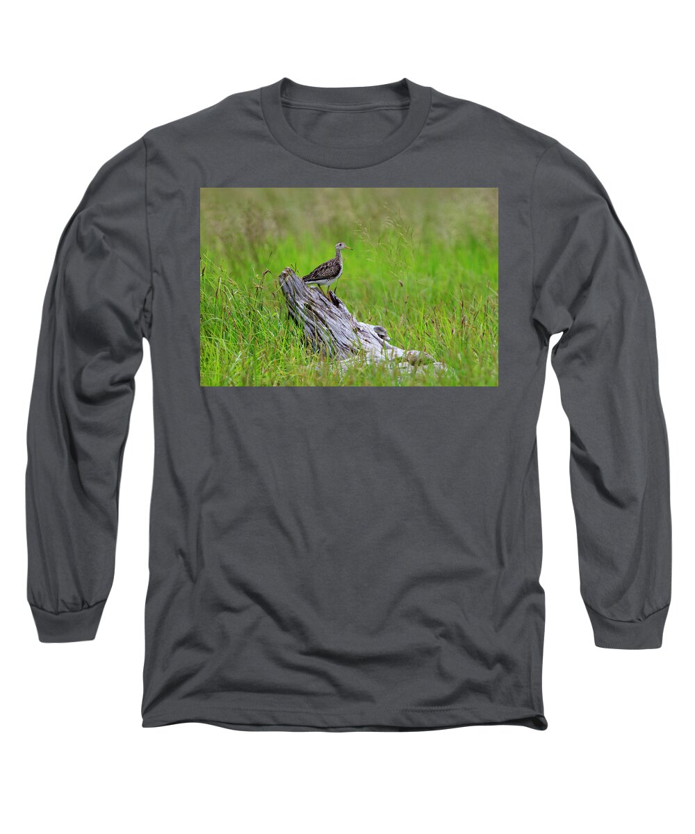 Grassland Long Sleeve T-Shirt featuring the photograph Shorebird of the Grasslands by Gary Hall