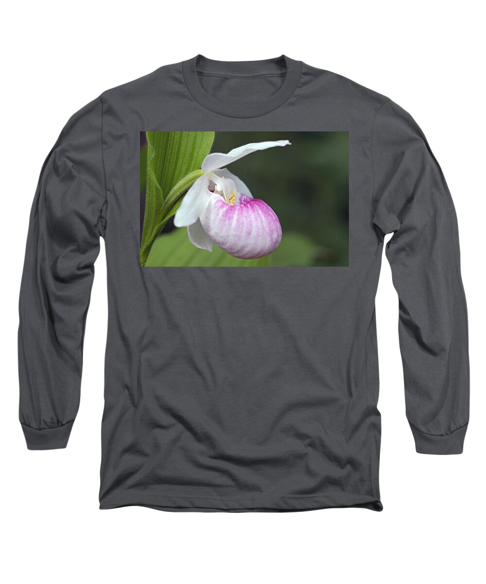 Showy Ladyslipper Long Sleeve T-Shirt featuring the photograph Showy Ladyslipper by Larry Ricker