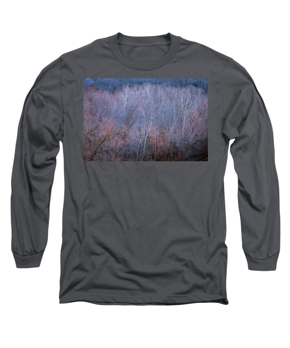 Trees Long Sleeve T-Shirt featuring the photograph Silent Trees by Allin Sorenson