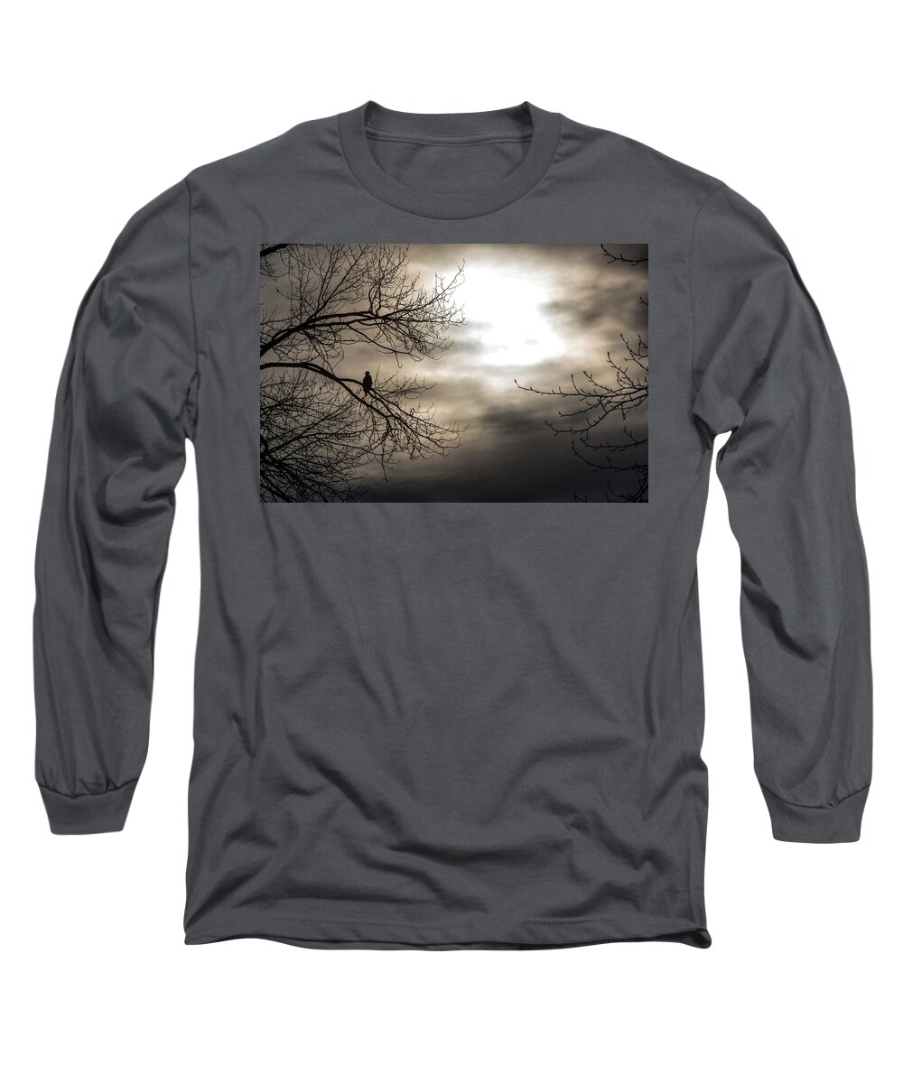 Bald Eagle Long Sleeve T-Shirt featuring the photograph Sillouette by David Kirby