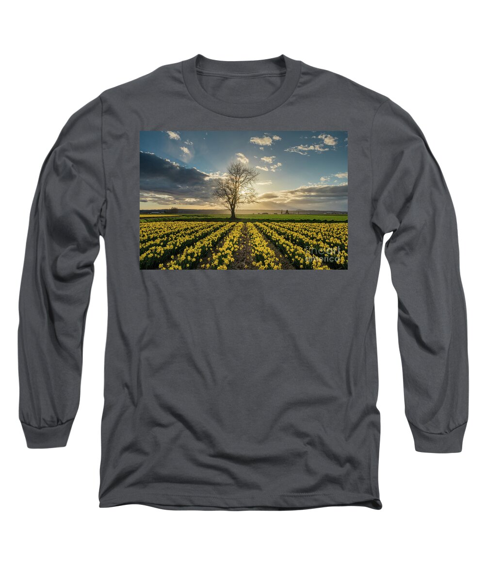 Daffodils Long Sleeve T-Shirt featuring the photograph Skagit Daffodils Lone Tree by Mike Reid