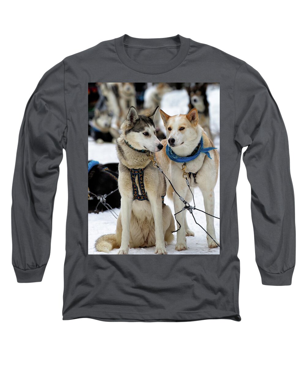 Dog Long Sleeve T-Shirt featuring the photograph Sled Dogs by David Buhler