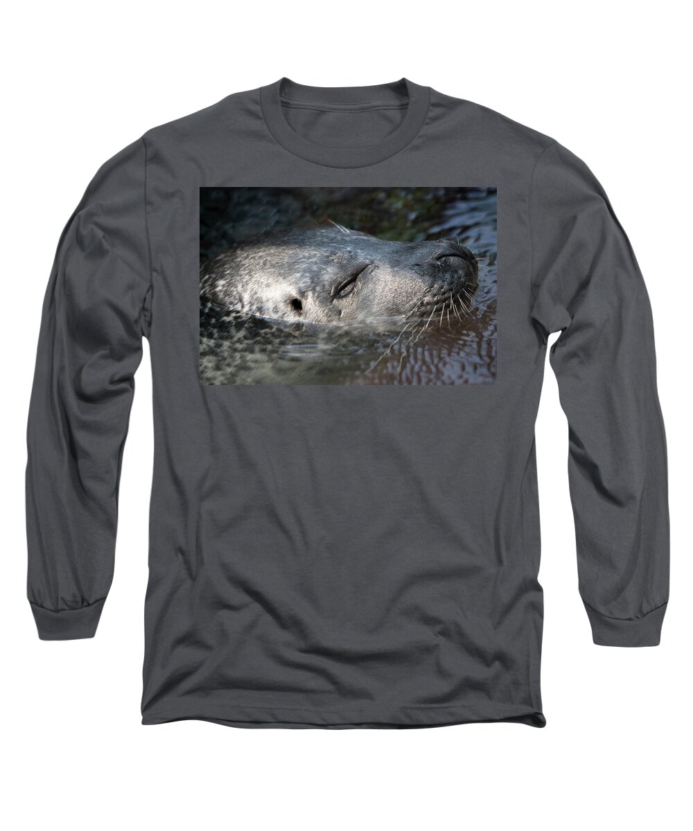 Sea Long Sleeve T-Shirt featuring the photograph Sleeping Sea Lion by Jason Hughes