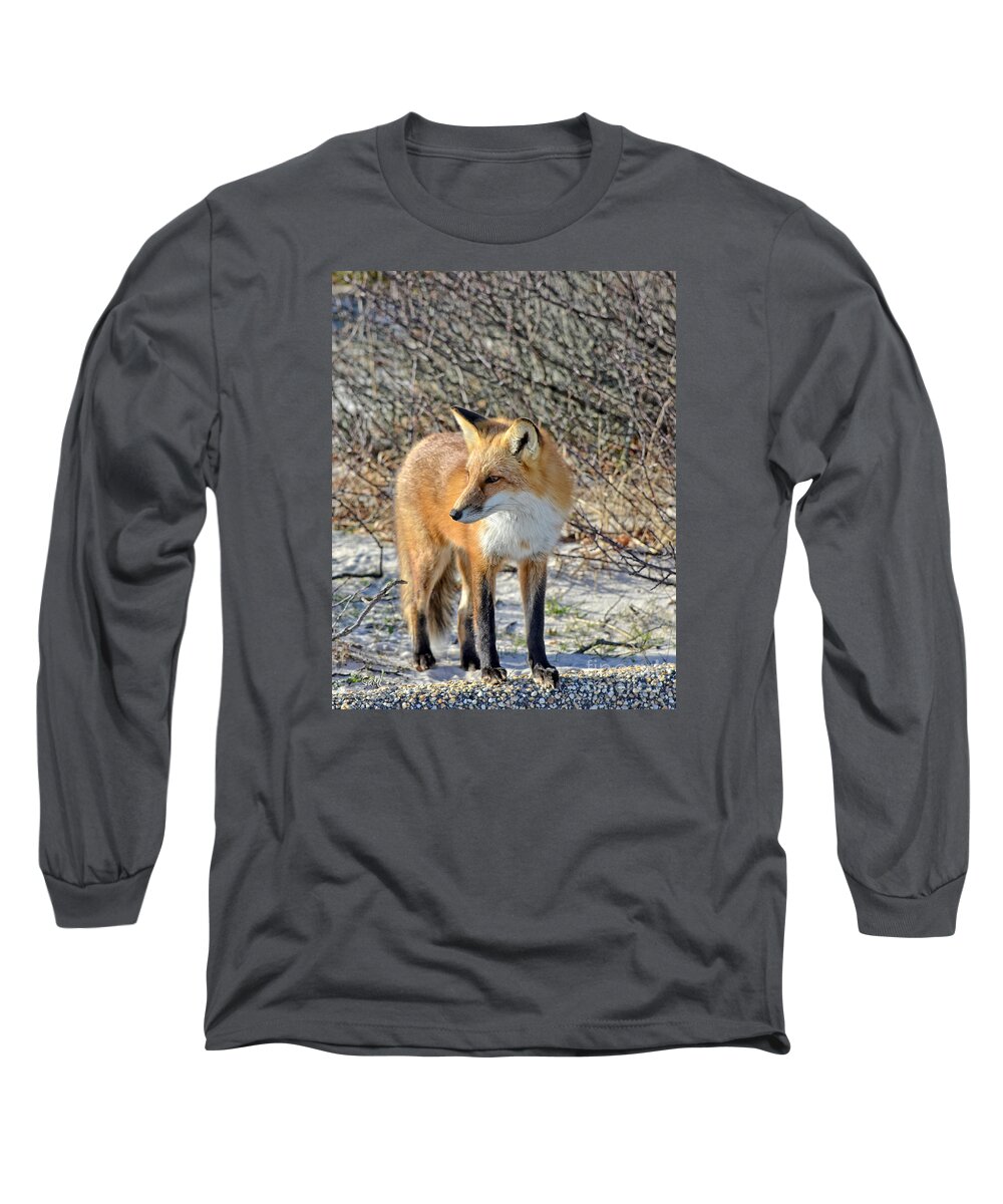 Fox Long Sleeve T-Shirt featuring the photograph Sly little fox by Sami Martin