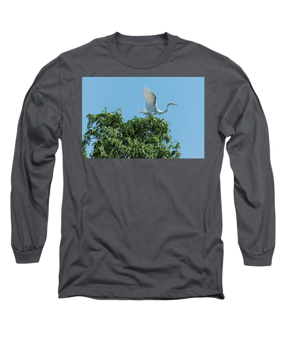 Egret Long Sleeve T-Shirt featuring the photograph Smith Creek by Steven Richman