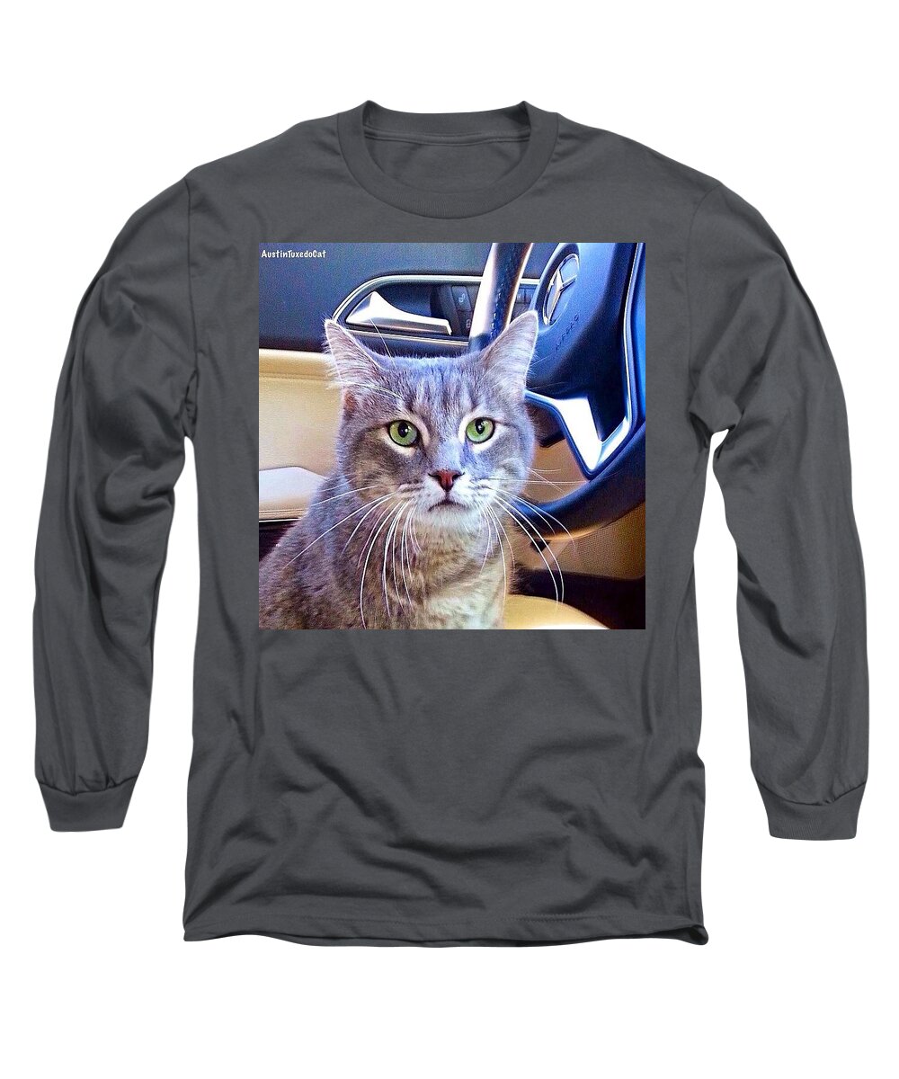 Catsofinstagram Long Sleeve T-Shirt featuring the photograph #smokey Is Serious About Driving. It by Austin Tuxedo Cat