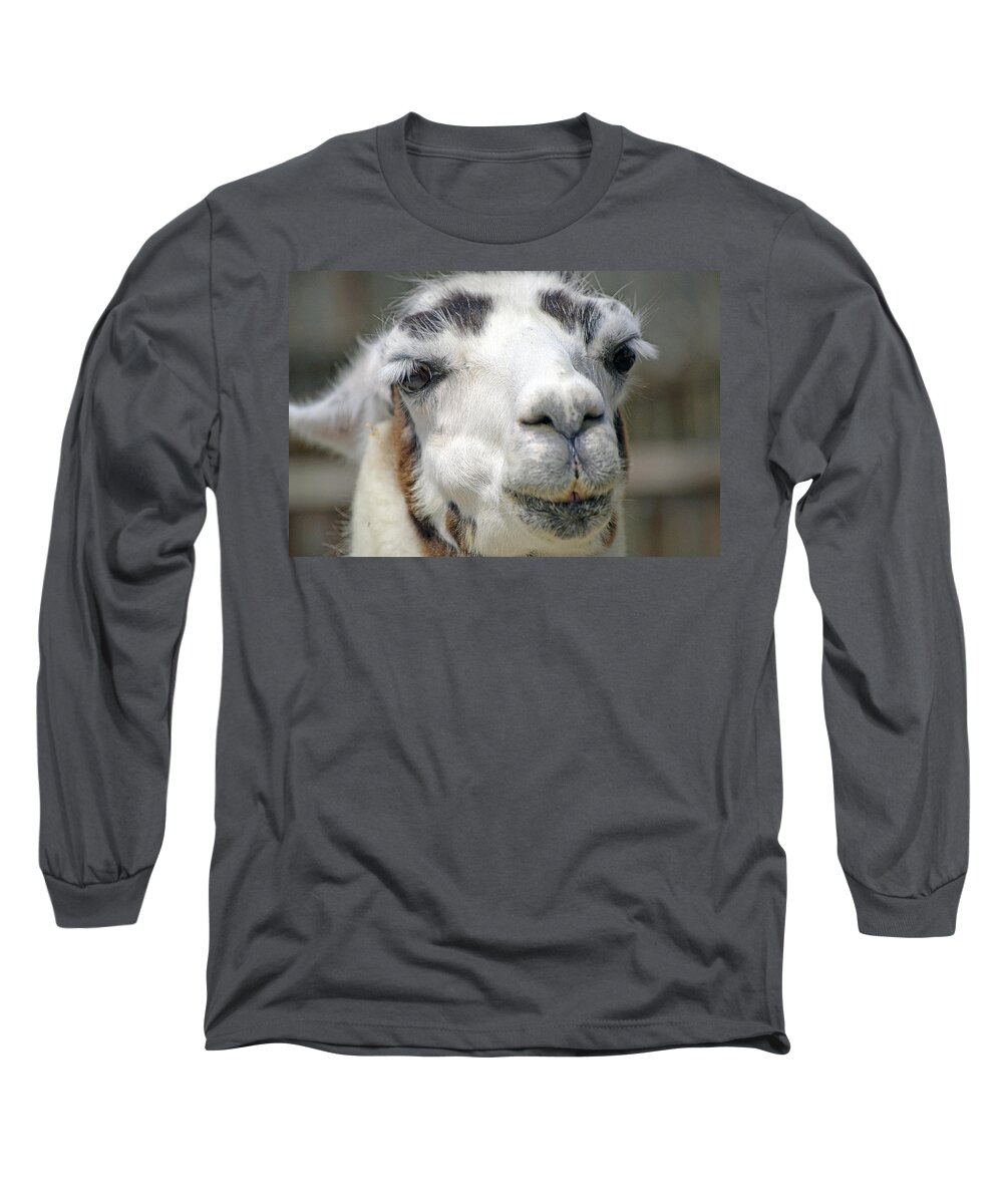 Llama Long Sleeve T-Shirt featuring the photograph Smug Llama by Kenneth Albin