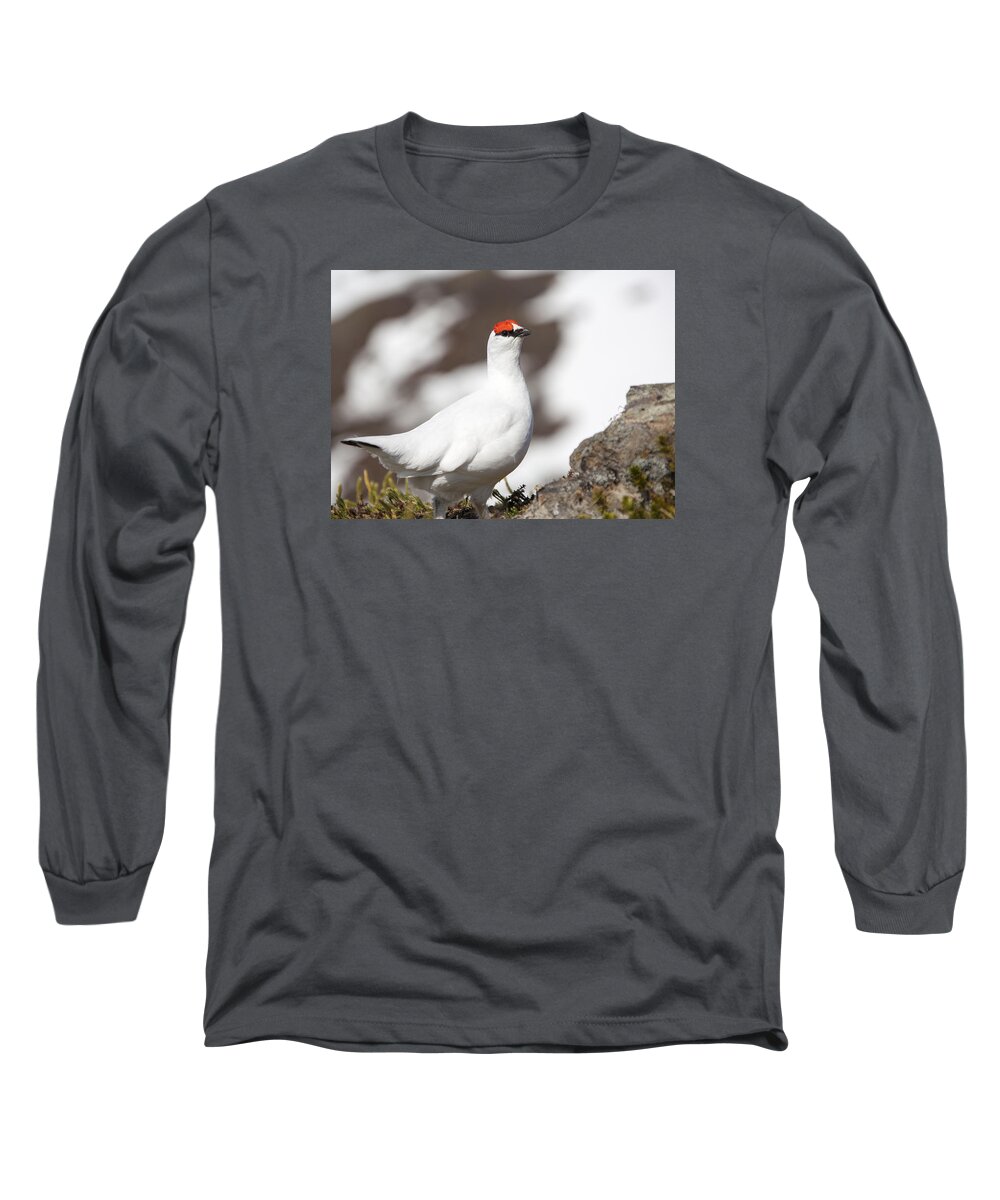 Birds Long Sleeve T-Shirt featuring the photograph Snow Bird by Ramunas Bruzas