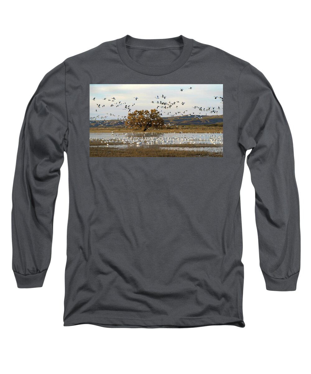 Snow Geese Long Sleeve T-Shirt featuring the photograph Snow Geese at Bosque Del Apache by Judi Dressler