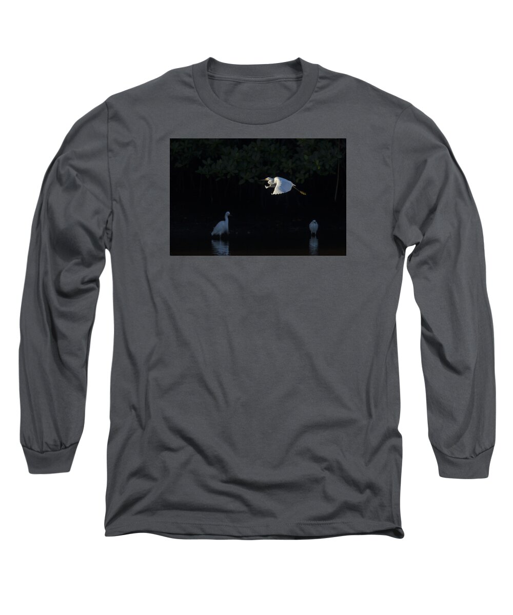 Snowy Long Sleeve T-Shirt featuring the photograph Snowy Egret gliding in the morning light by David Watkins