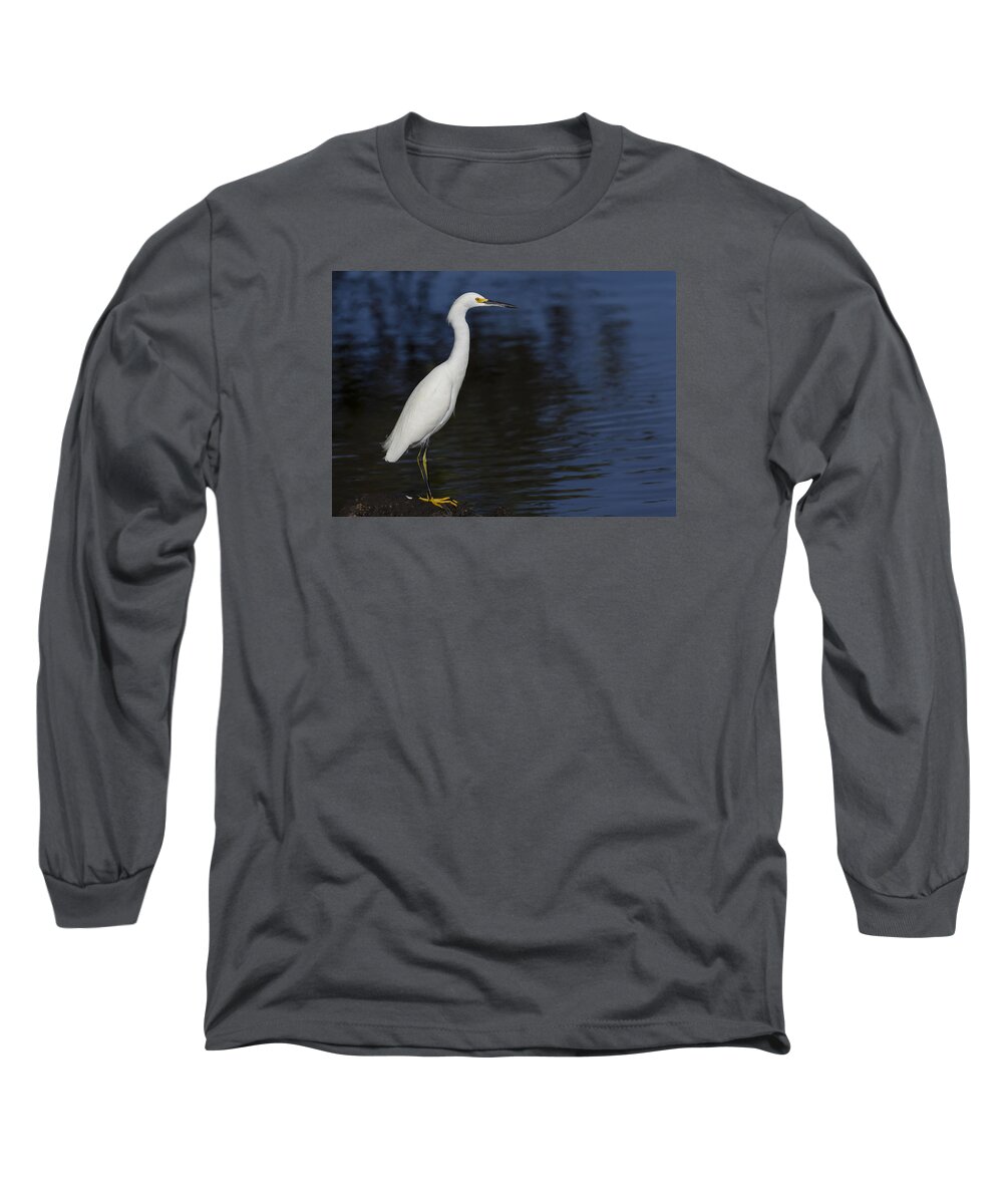 Snowy Long Sleeve T-Shirt featuring the photograph Snowy Egret perched on a rock by David Watkins