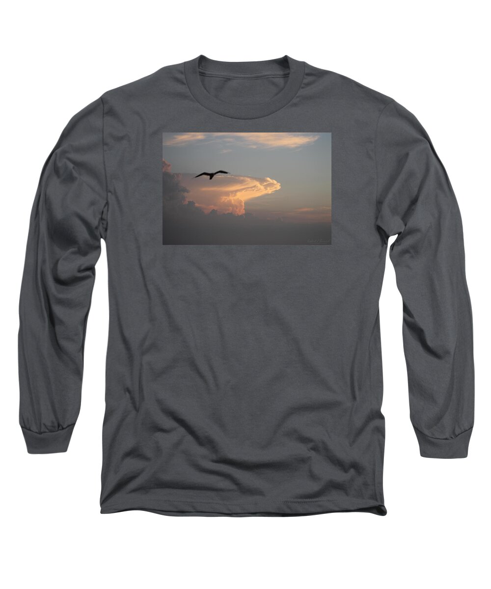 Animal Long Sleeve T-Shirt featuring the photograph Soaring Over The Clouds by Robert Banach