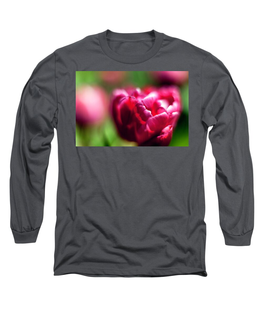 Tulip Long Sleeve T-Shirt featuring the photograph Soft And Feathery by Edward Kreis