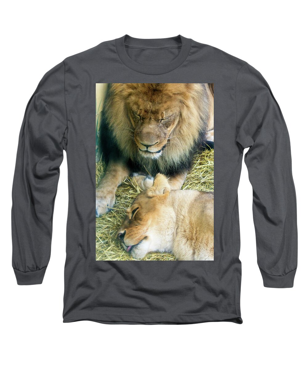 Wildlife Long Sleeve T-Shirt featuring the photograph Someone to Watch Over Me by David Stasiak