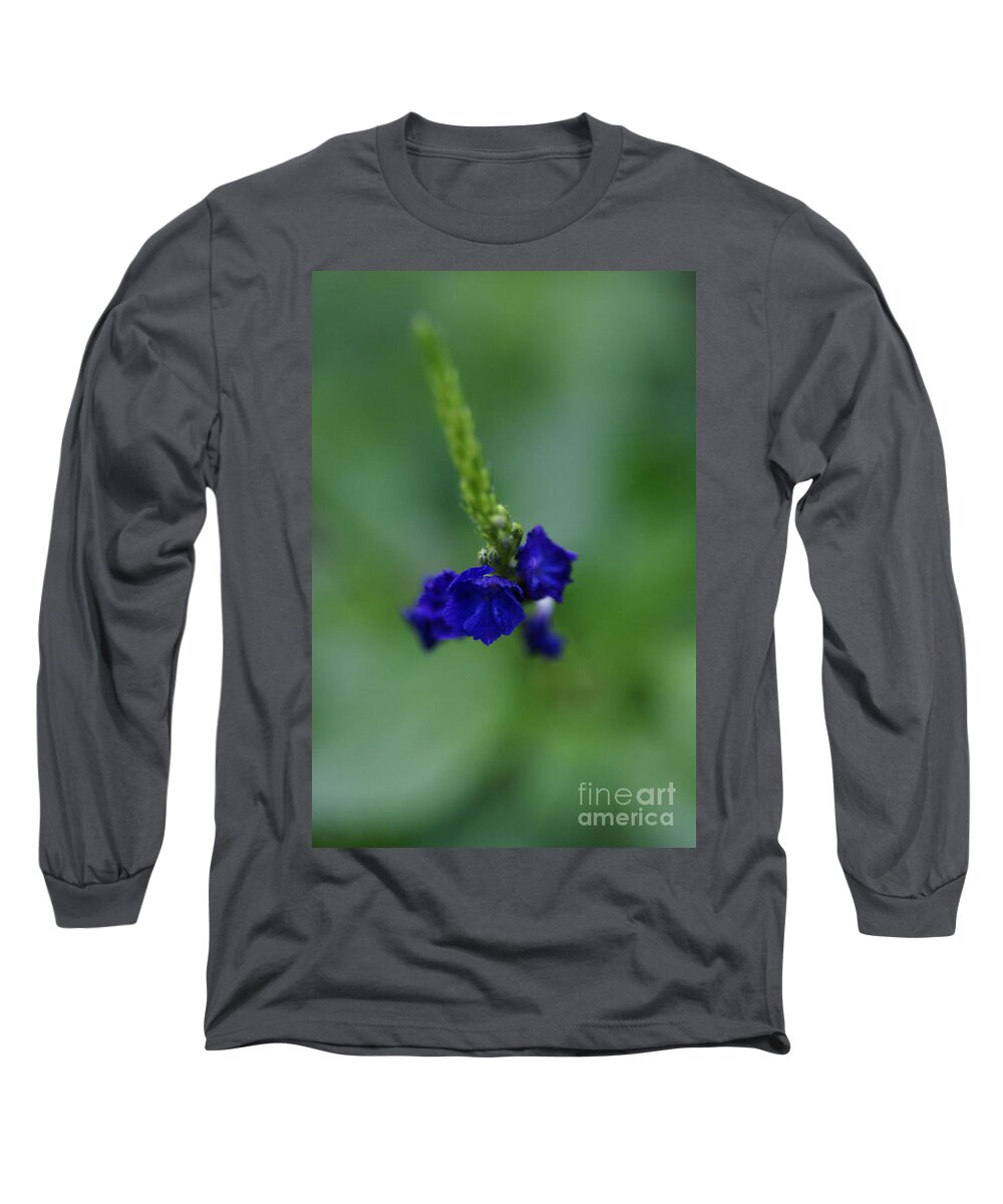 Floral Long Sleeve T-Shirt featuring the photograph Somewhere In This Dream by Linda Shafer