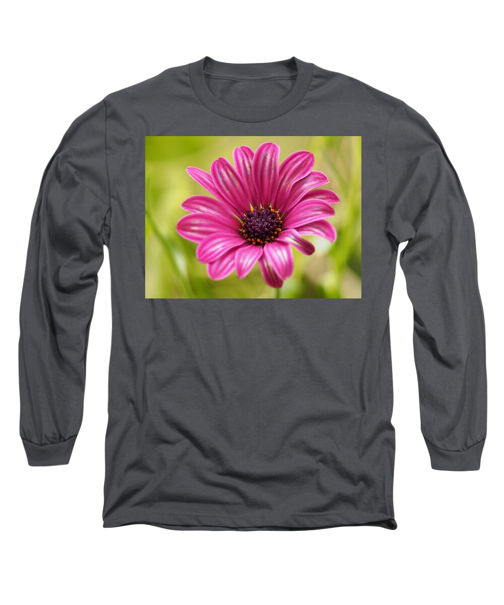 Flowers Long Sleeve T-Shirt featuring the photograph Soprano On a Brilliant Spring Day 4 by Dorothy Lee