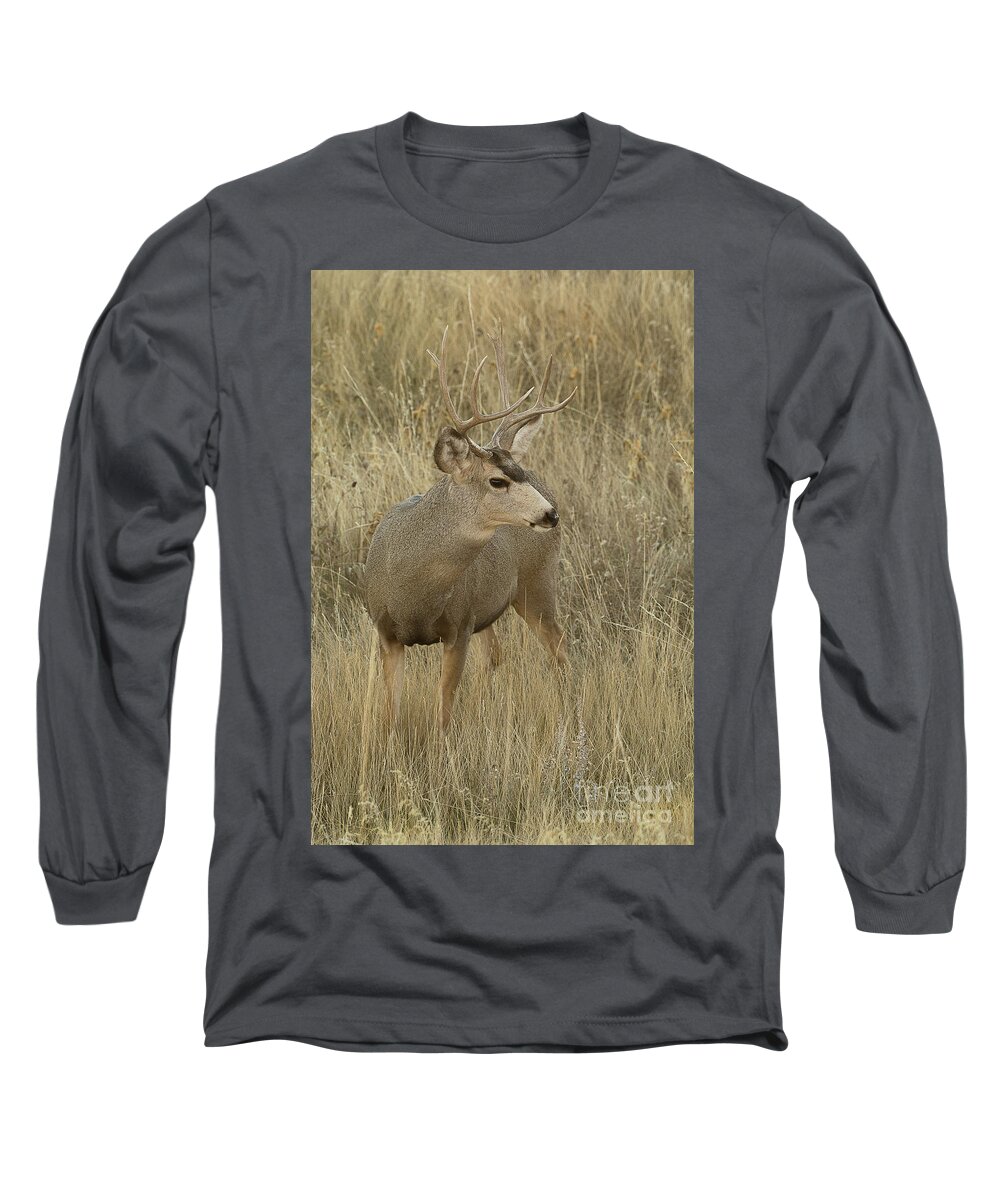 Mammal Long Sleeve T-Shirt featuring the photograph South Dakota Mule Deer Buck by Dennis Hammer