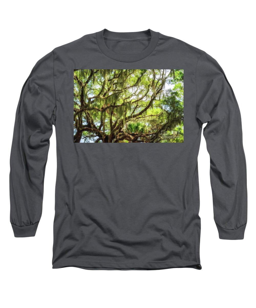 Botany Bay Road Long Sleeve T-Shirt featuring the photograph Spanish Moss by Michael Ver Sprill