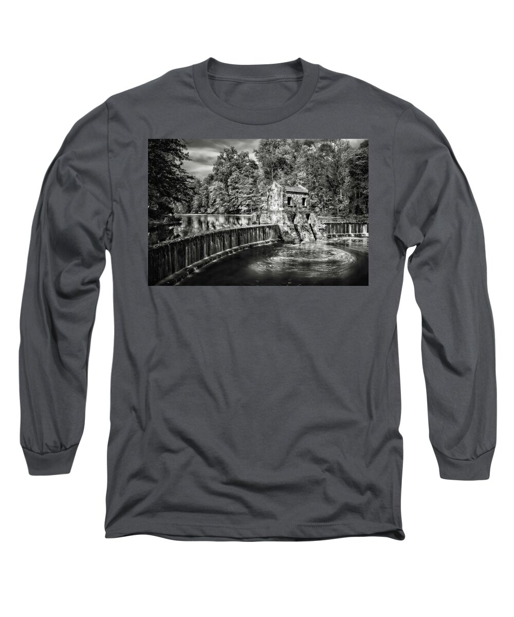 Fall Long Sleeve T-Shirt featuring the photograph Speedwell swirls by Eduard Moldoveanu