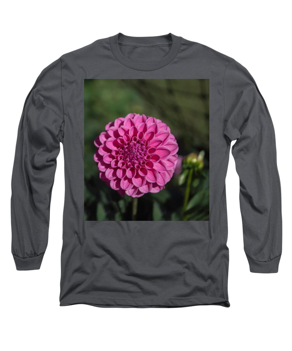 Florals Long Sleeve T-Shirt featuring the photograph Spellbreaker Rasberry by Arlene Carmel