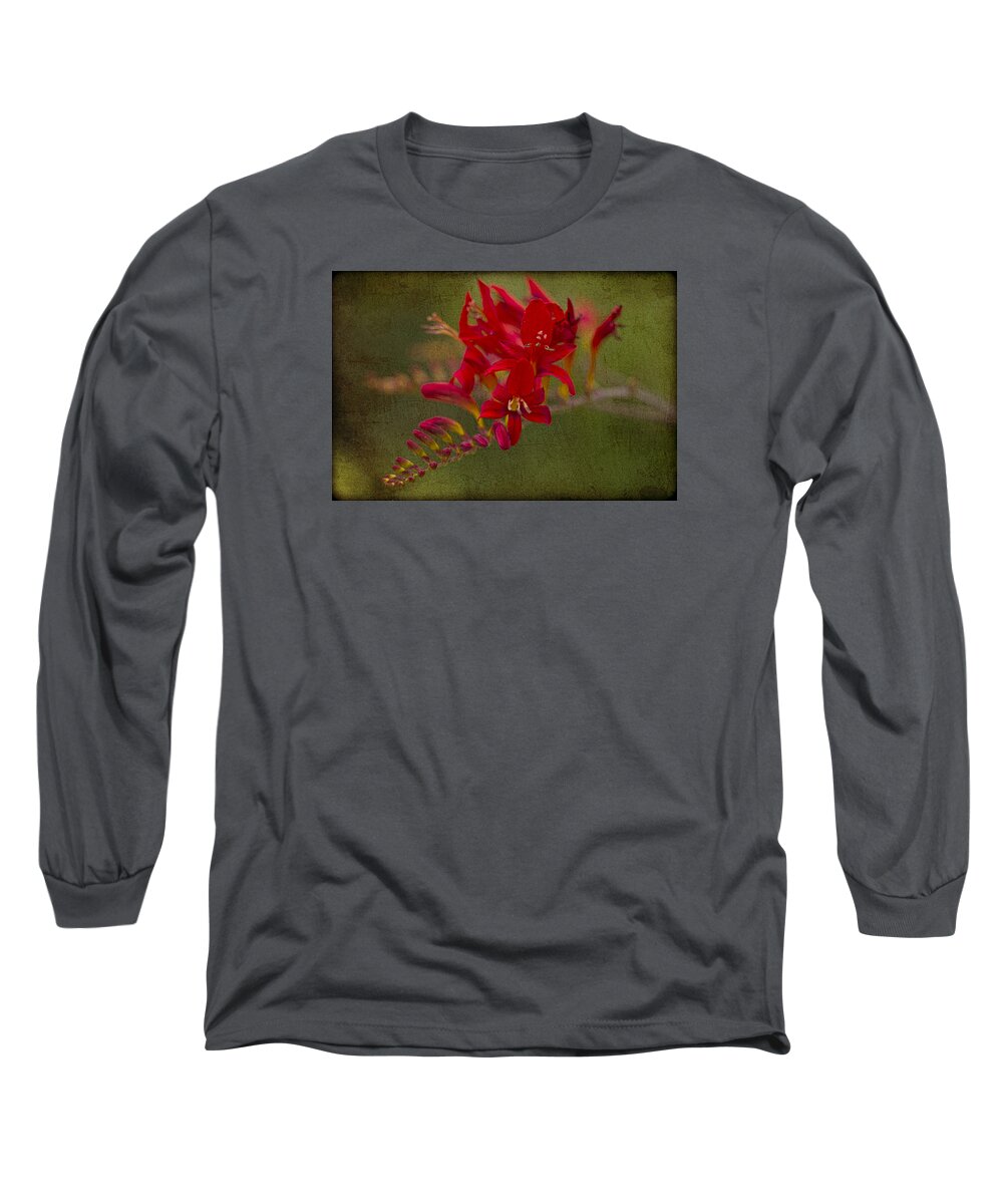 Clare Bambers Long Sleeve T-Shirt featuring the photograph Splash of Red. by Clare Bambers