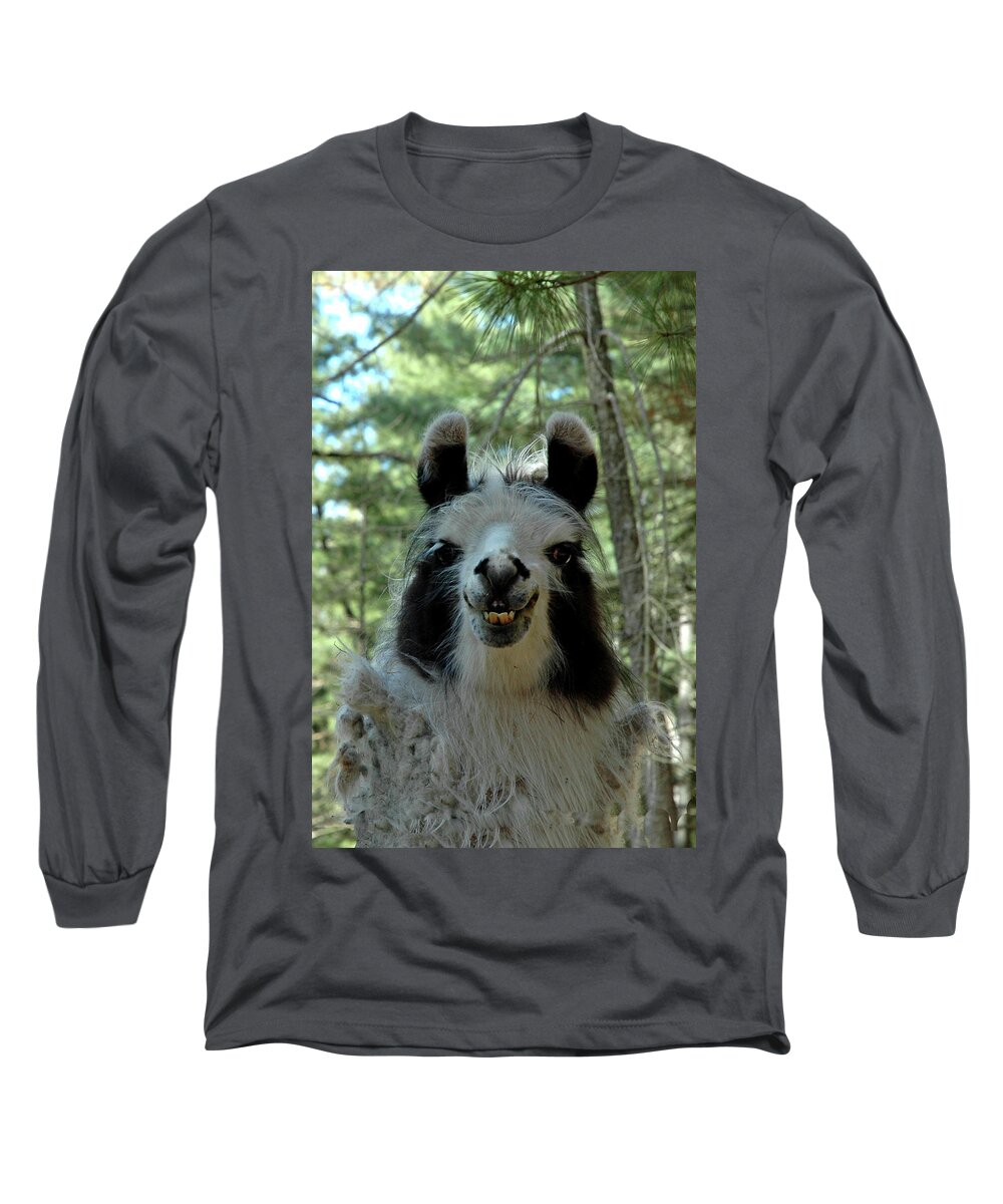 Usa Long Sleeve T-Shirt featuring the photograph Spooky Llama by LeeAnn McLaneGoetz McLaneGoetzStudioLLCcom