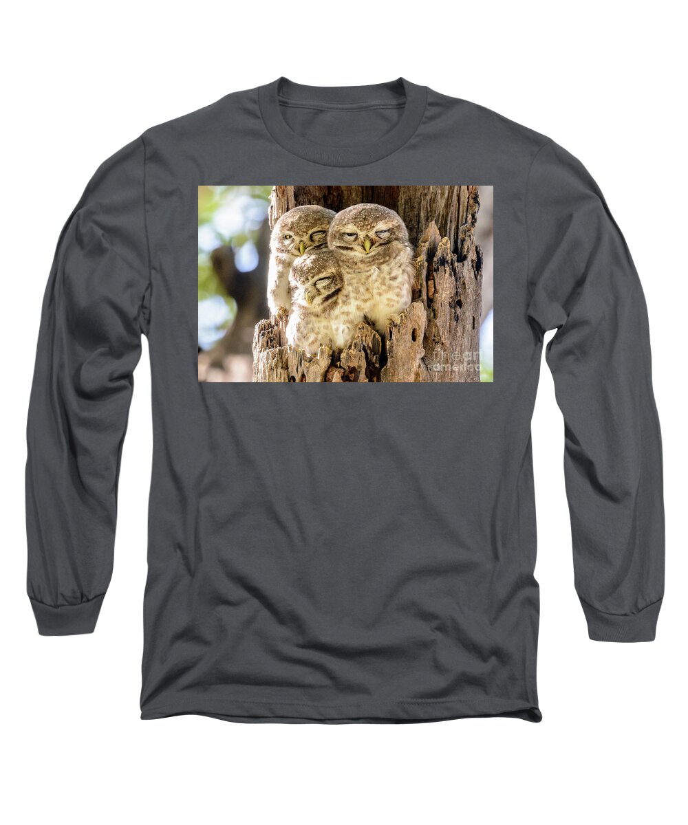 India Long Sleeve T-Shirt featuring the photograph Spotted Owlets by Werner Padarin