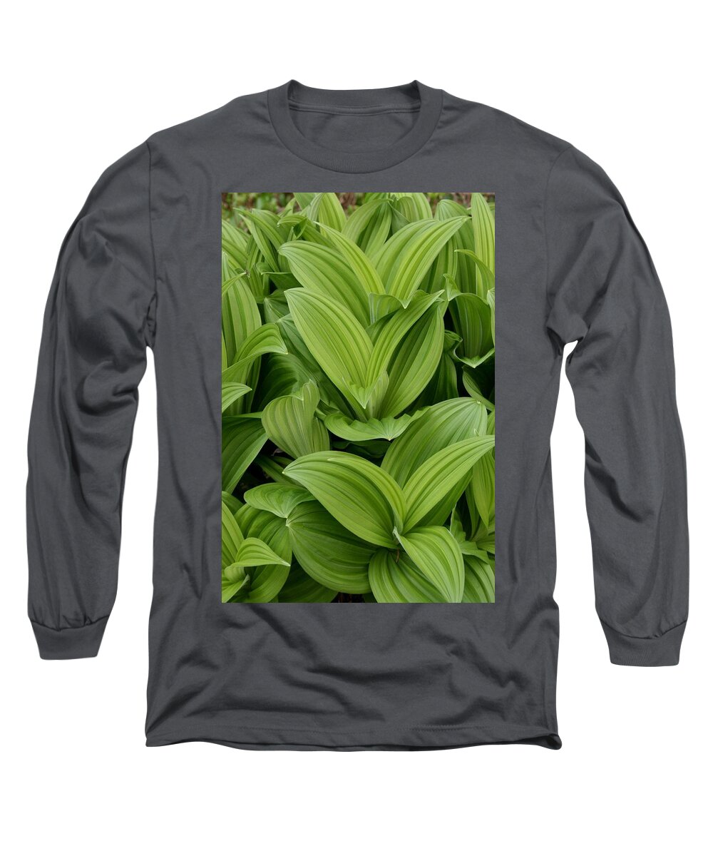 Plants Long Sleeve T-Shirt featuring the photograph Spring Green by Angie Schutt