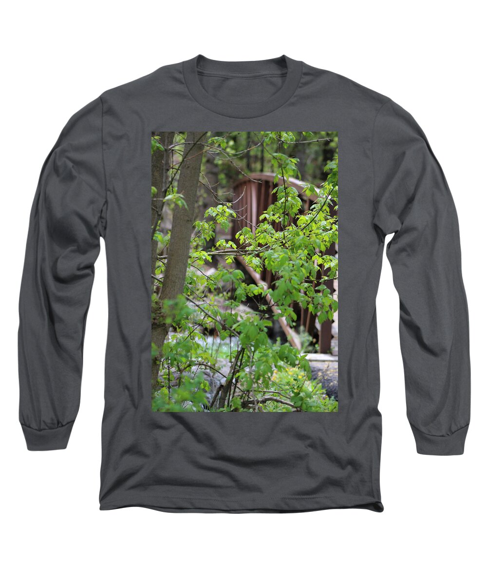 Boxelder Leaves Long Sleeve T-Shirt featuring the photograph Spring in the Mountains at American Fork Canyon Utah by Colleen Cornelius