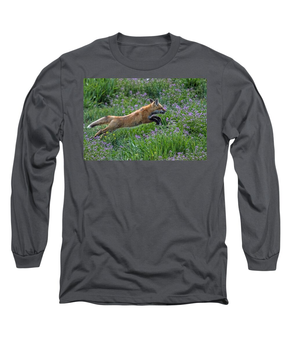 Wildlife Long Sleeve T-Shirt featuring the photograph Spring Kit by Alana Thrower