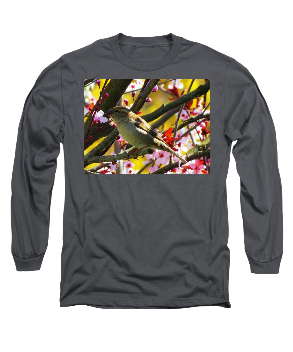 Spring Long Sleeve T-Shirt featuring the photograph Spring Sparrow by Vijay Sharon Govender