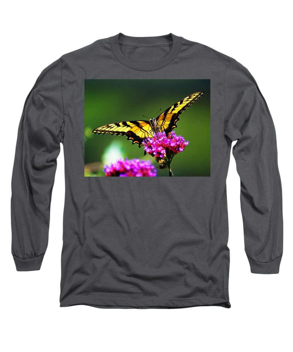 Beautiful Long Sleeve T-Shirt featuring the photograph Springtime Butterfly by Nick Zelinsky Jr