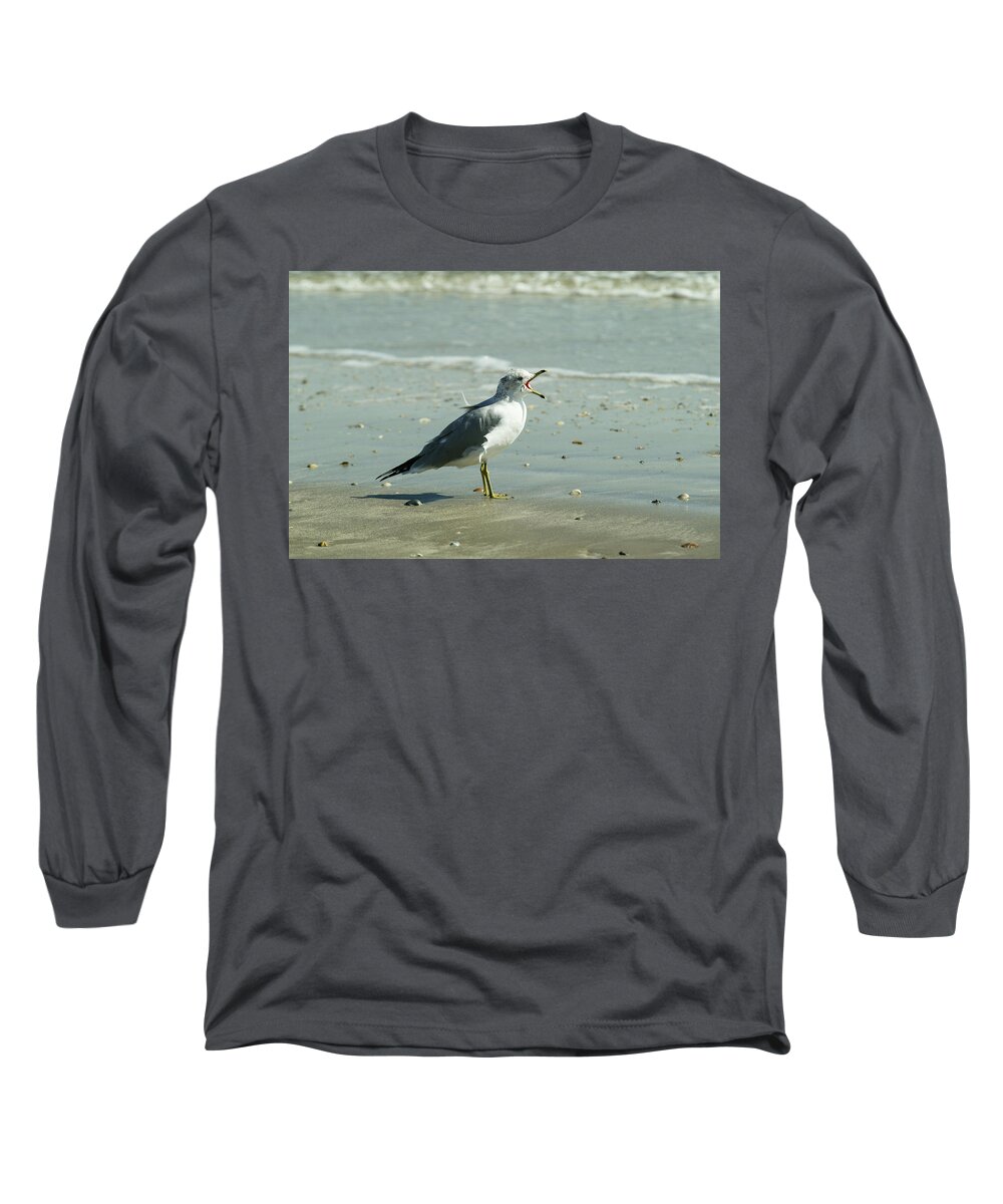 Bird Long Sleeve T-Shirt featuring the photograph Squawking bird by Jason Hughes