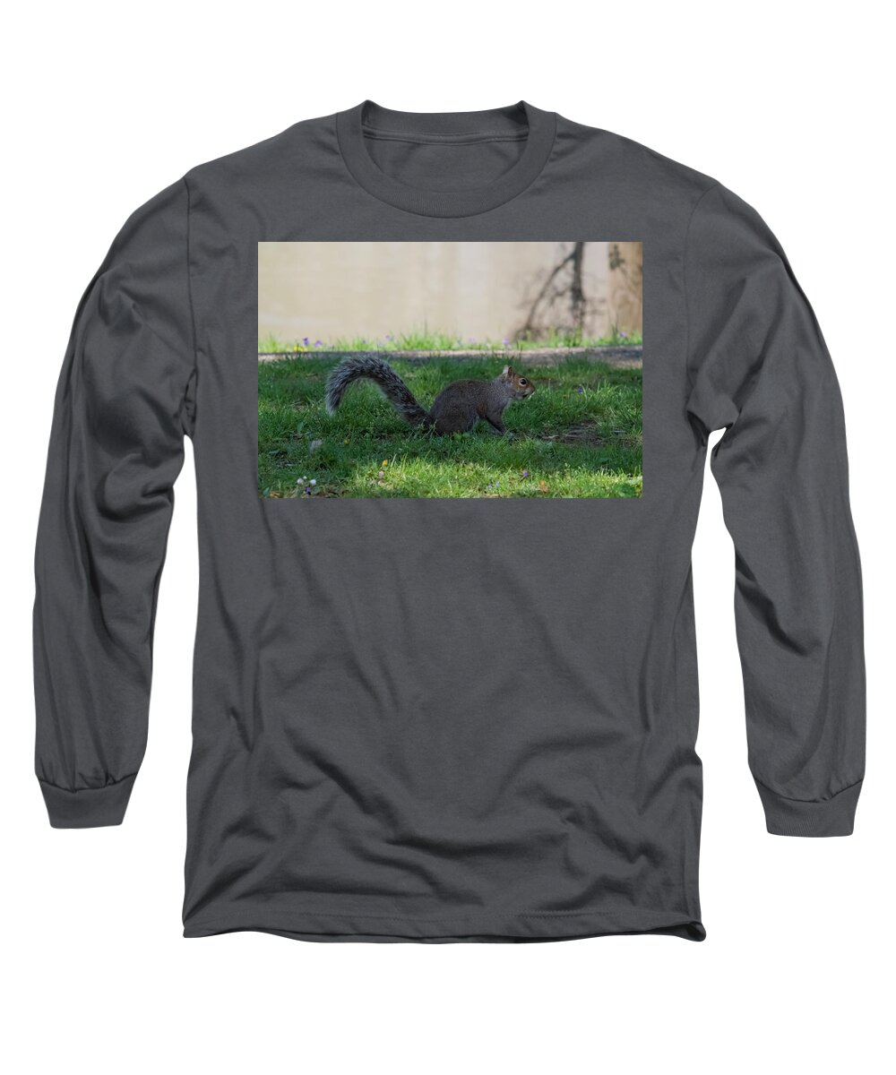 Squirrel Long Sleeve T-Shirt featuring the photograph Squirrel at a stand still by Holden The Moment