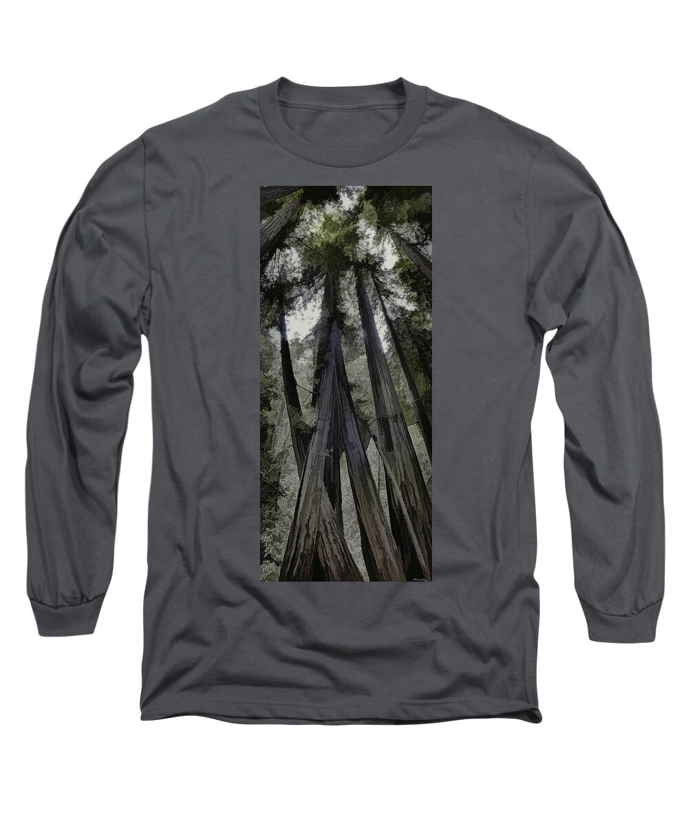 Redwood Long Sleeve T-Shirt featuring the painting Stand of Redwoods by Frank Lee