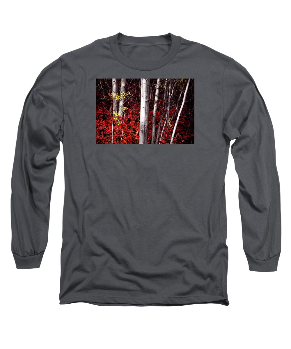The Walkers Long Sleeve T-Shirt featuring the photograph Stealing Beauty by The Walkers