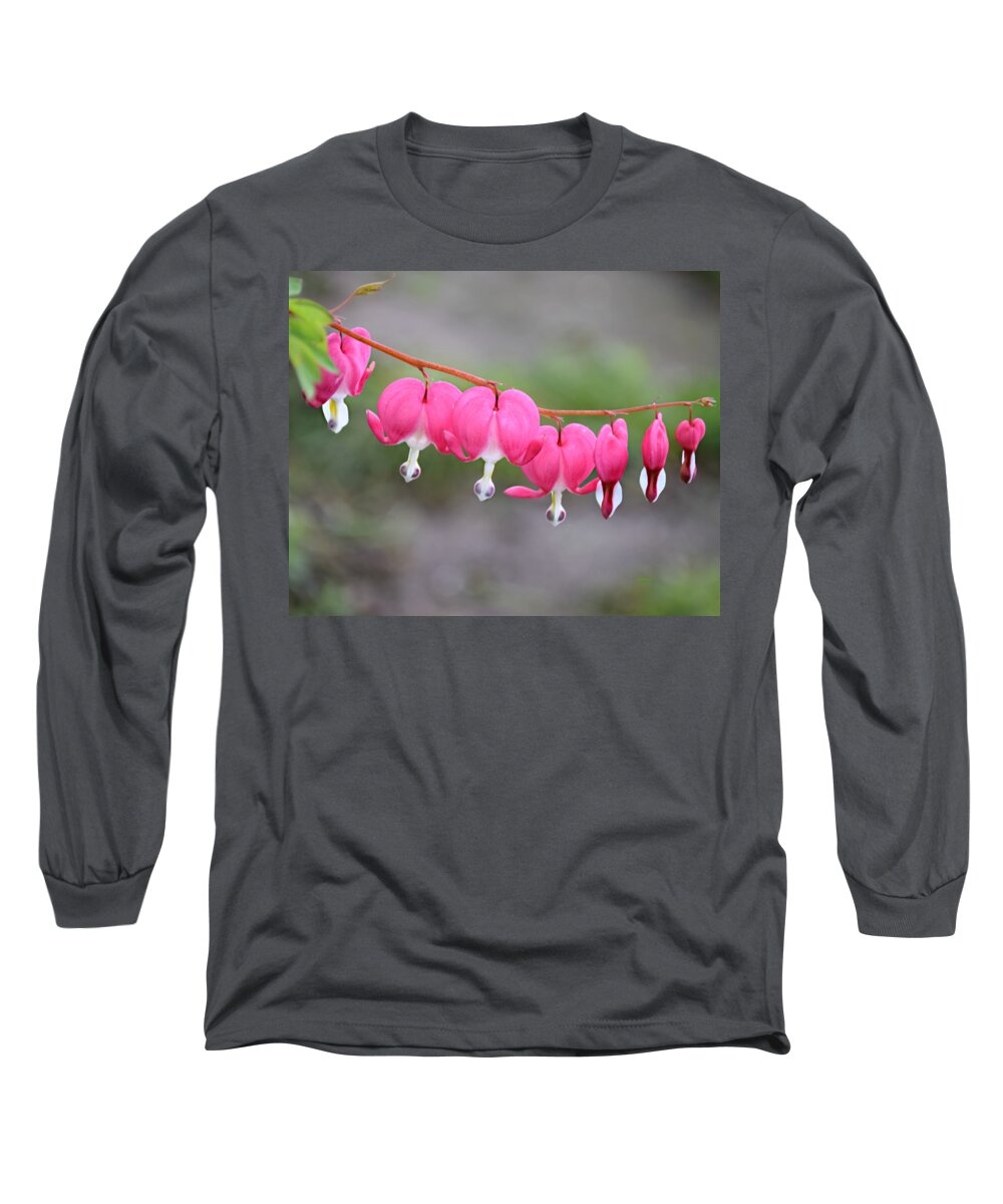String Of Hearts Long Sleeve T-Shirt featuring the photograph String Of Hearts by Kathy M Krause