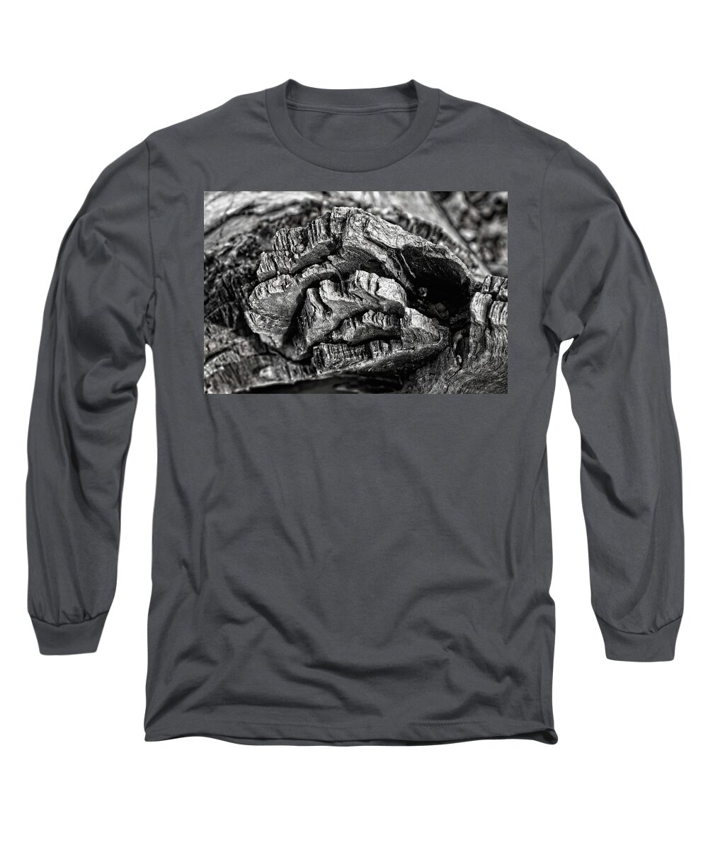 Monochrome Long Sleeve T-Shirt featuring the photograph Stump Texture by George Taylor