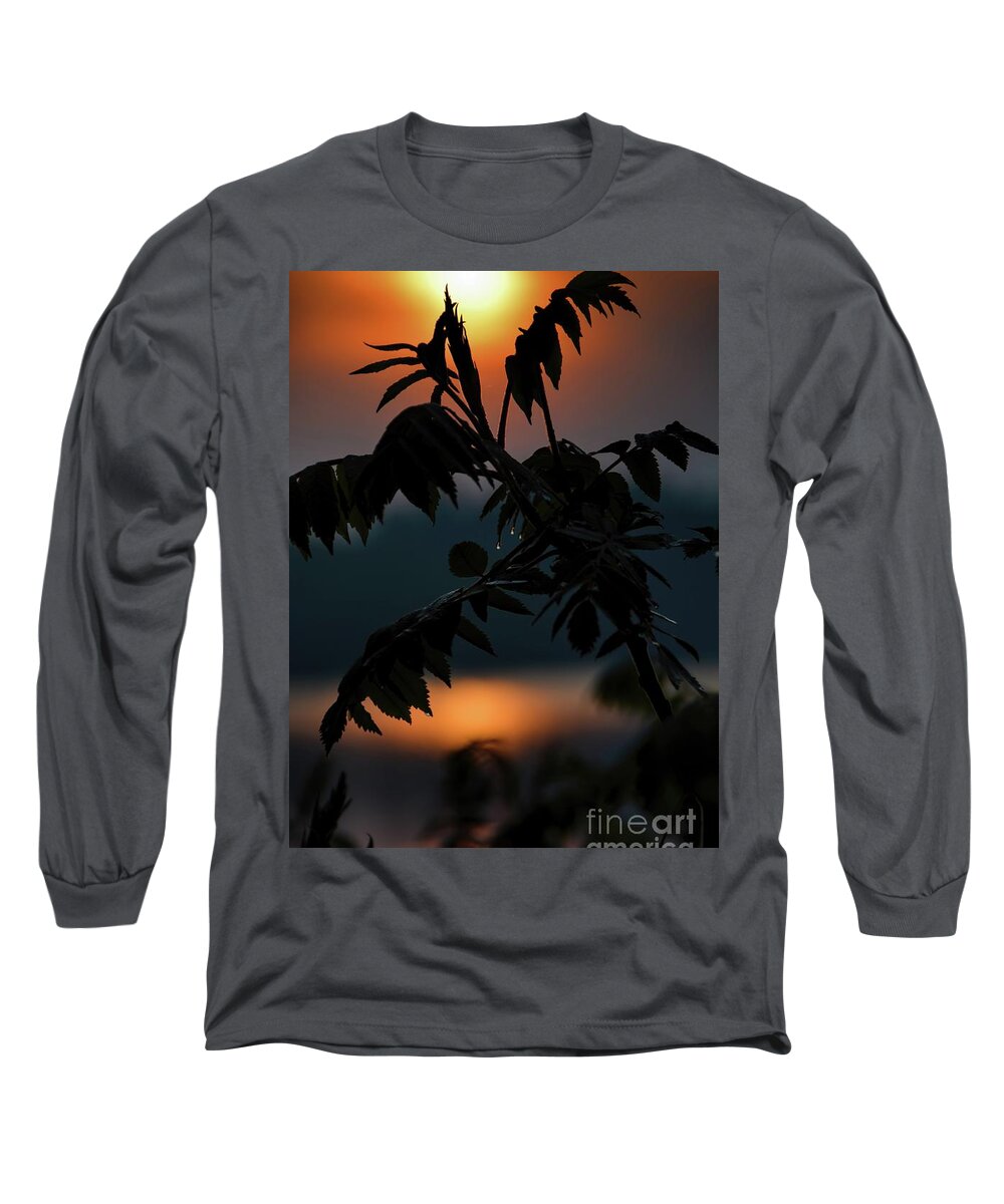 Sunrise Long Sleeve T-Shirt featuring the photograph Sumac Sunrise Silhouette by Henry Kowalski