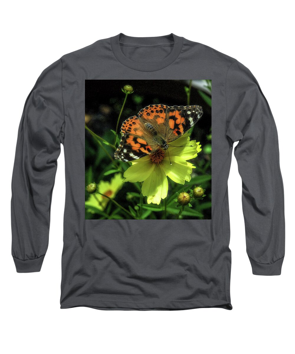 Butterfly Long Sleeve T-Shirt featuring the photograph Summer beauty by Bruce Carpenter