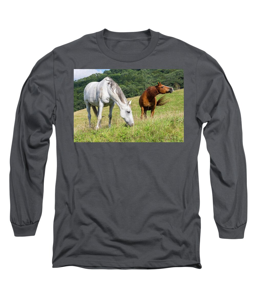 Horses Long Sleeve T-Shirt featuring the photograph Summer Evening For Horses by D K Wall