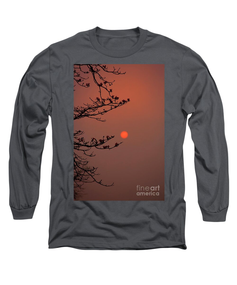 Blossoms Long Sleeve T-Shirt featuring the photograph Sun Blossoms Nature Asia by Chuck Kuhn