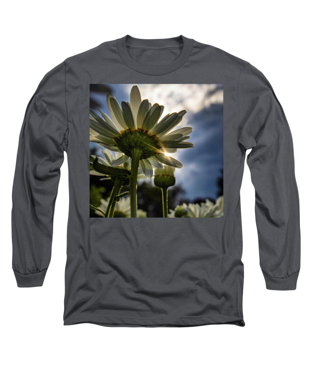 Daisy Long Sleeve T-Shirt featuring the photograph Sun Rain by Terri Hart-Ellis